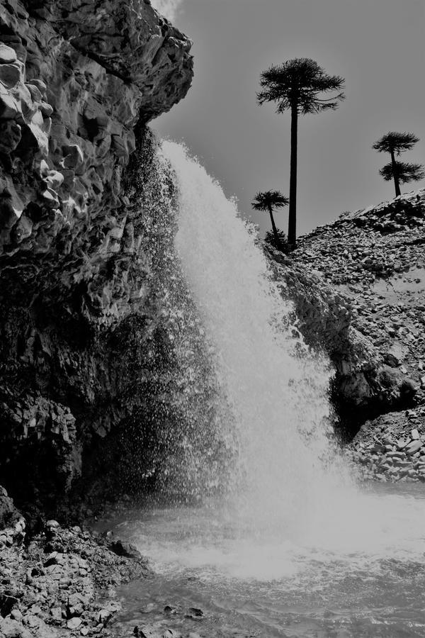 Cabanas Agua Clara Villa Pehuenia Zewnętrze zdjęcie